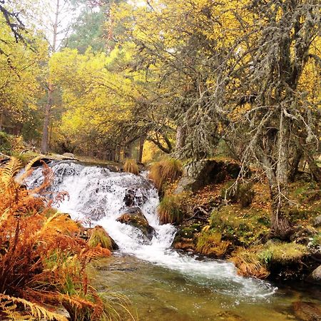 Вилла Casa Rural Alamo - Valle De El Paular Раскафриа Экстерьер фото