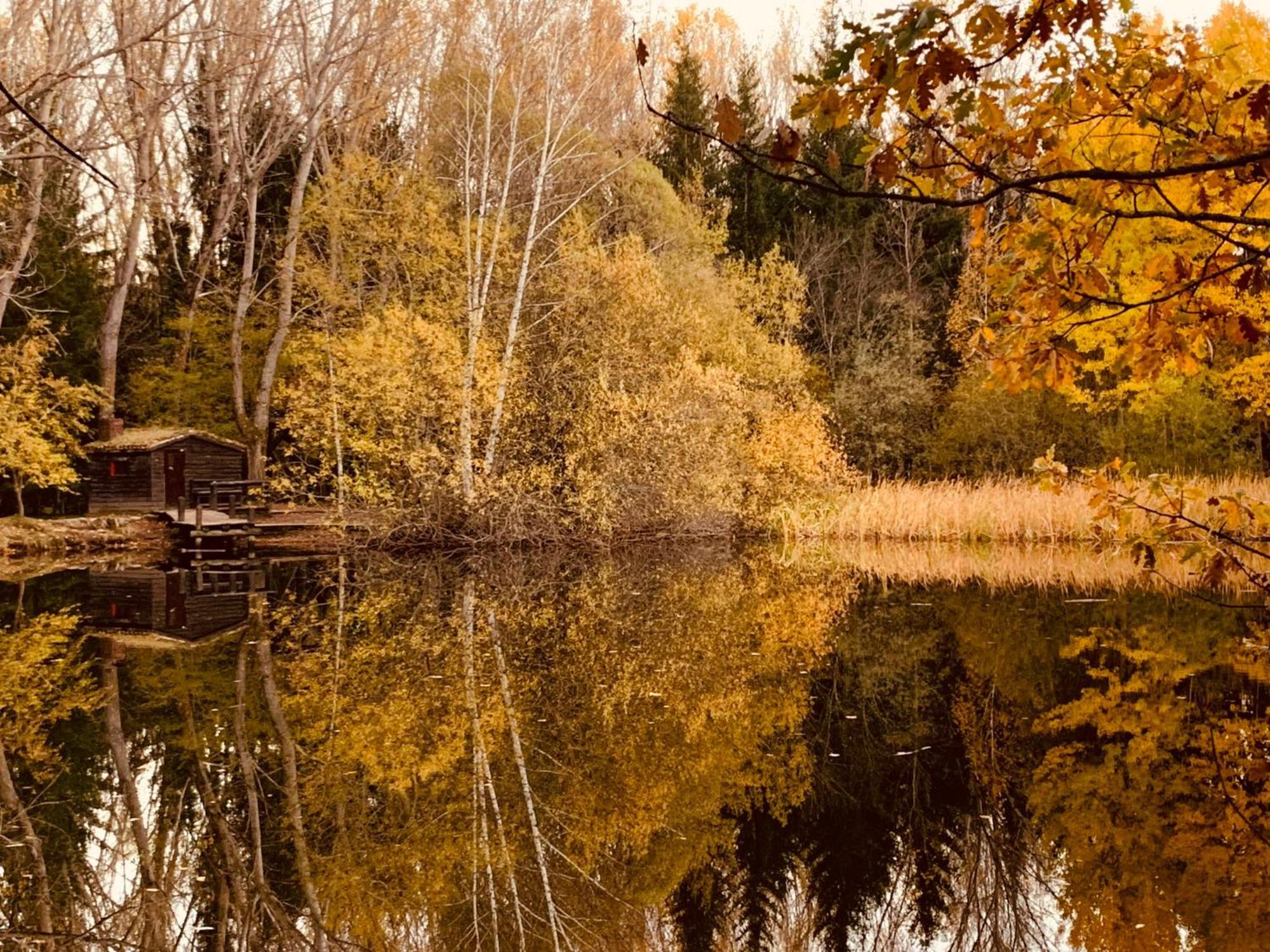 Вилла Casa Rural Alamo - Valle De El Paular Раскафриа Экстерьер фото